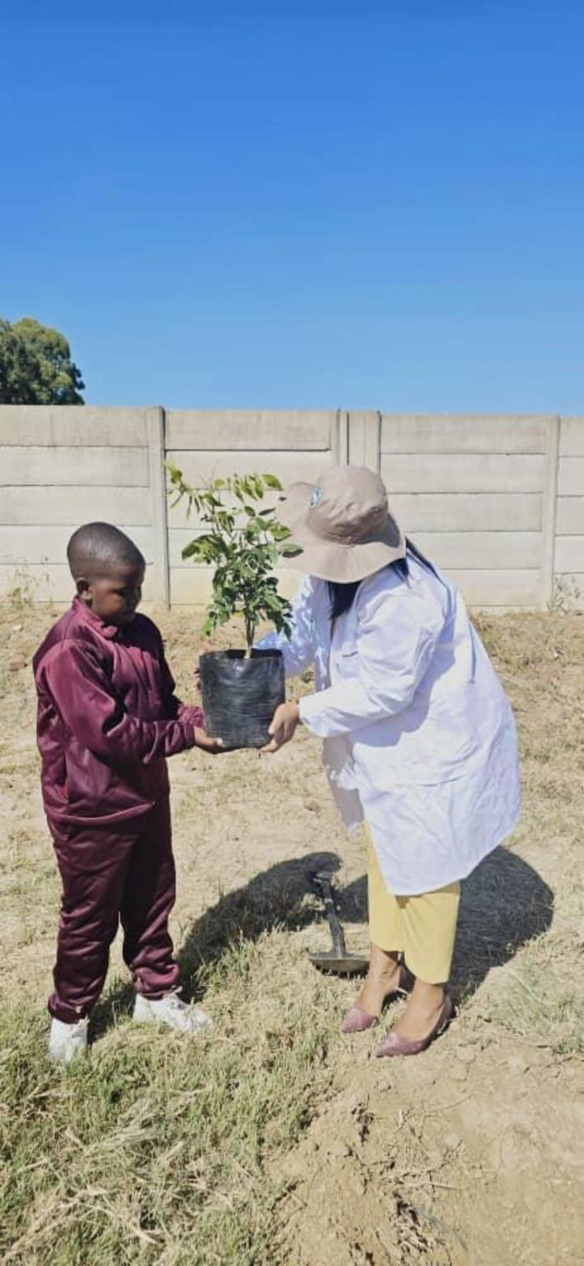 ZIMBABUE1