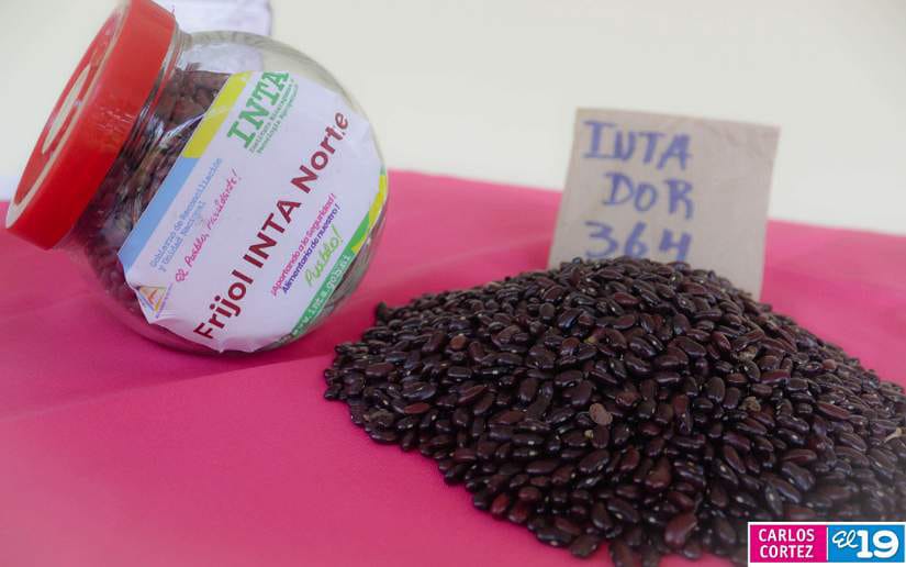 INTA2