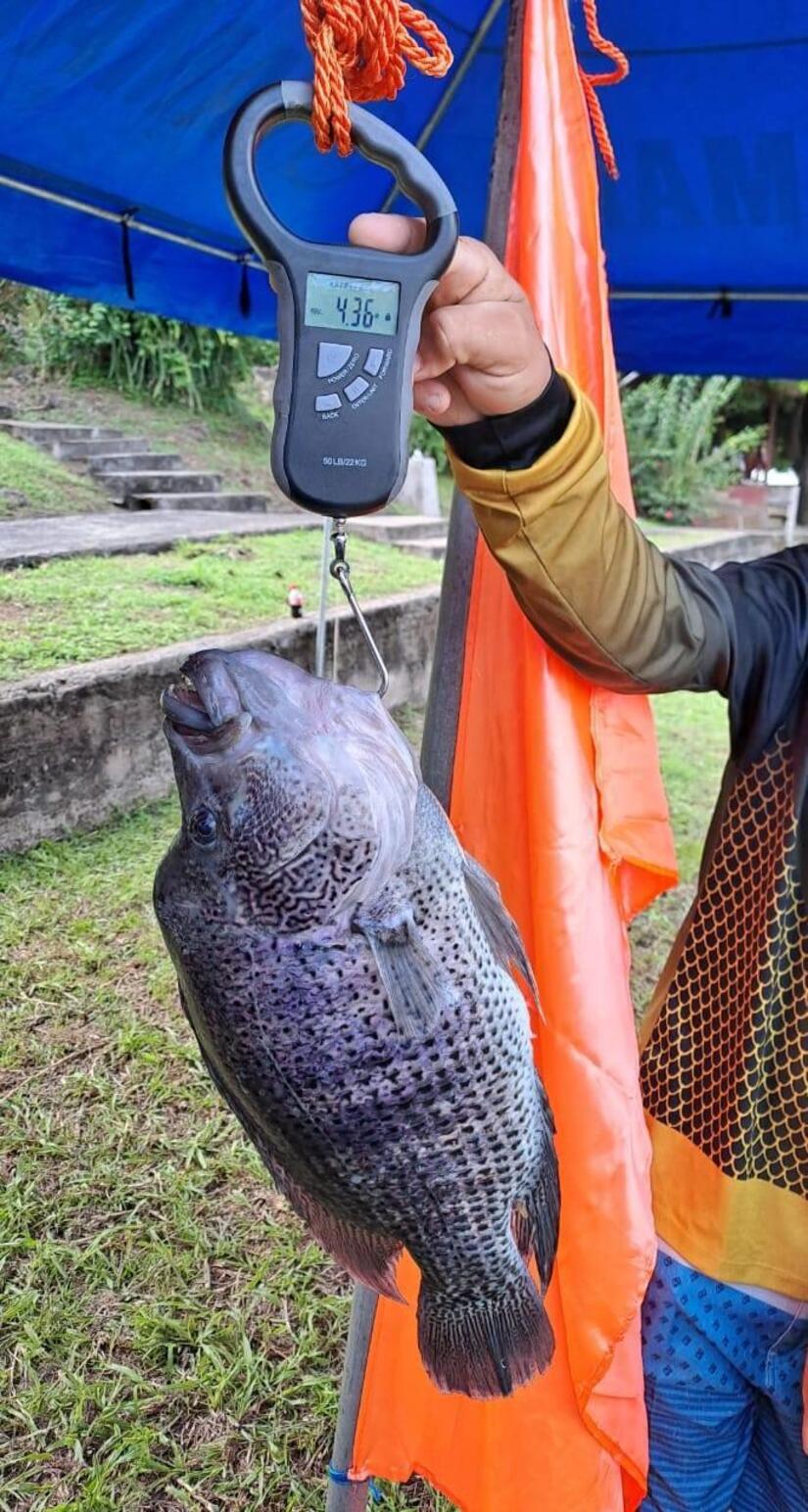 PESCA13