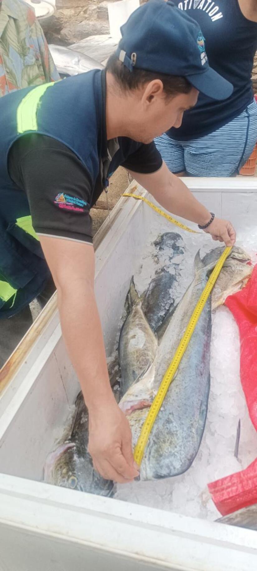 INPESCA-(8)