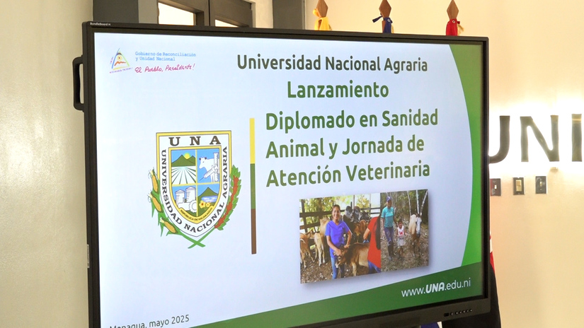DIPLOMADO3