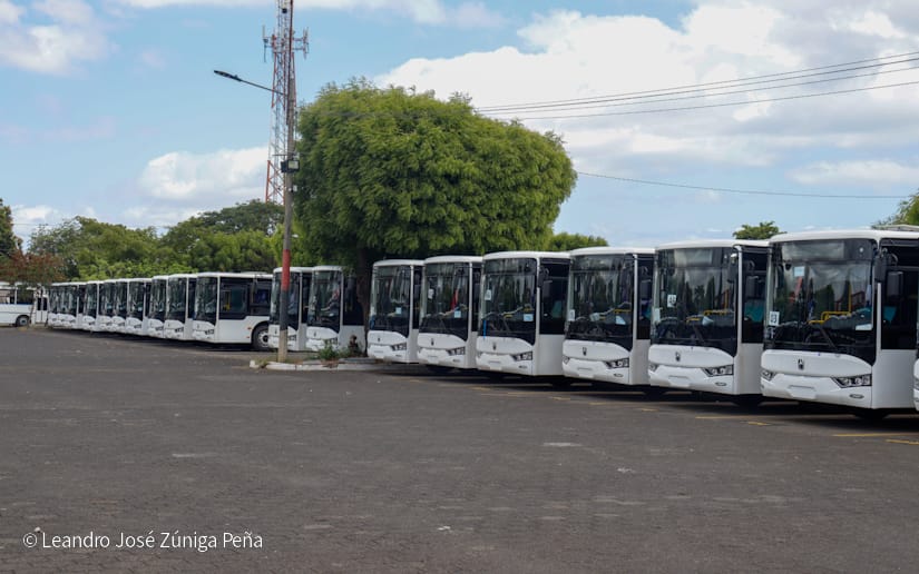 BUSES24