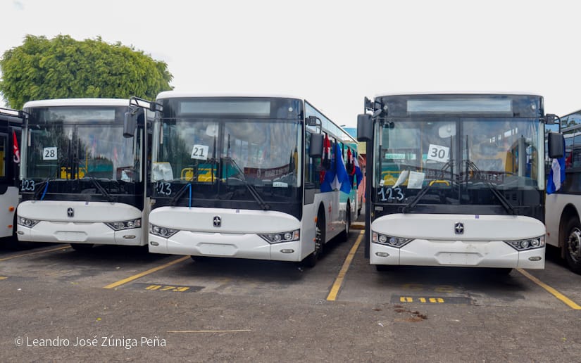 BUSES29