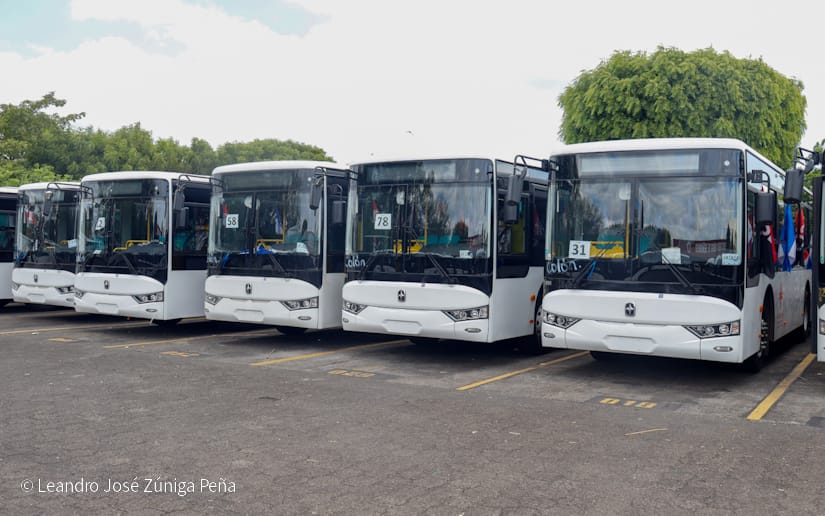 BUSES30