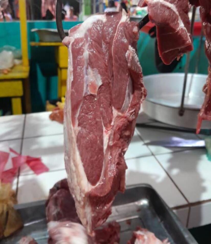 CARNE1