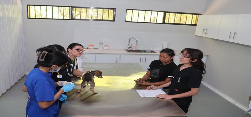 VETERINARIO3