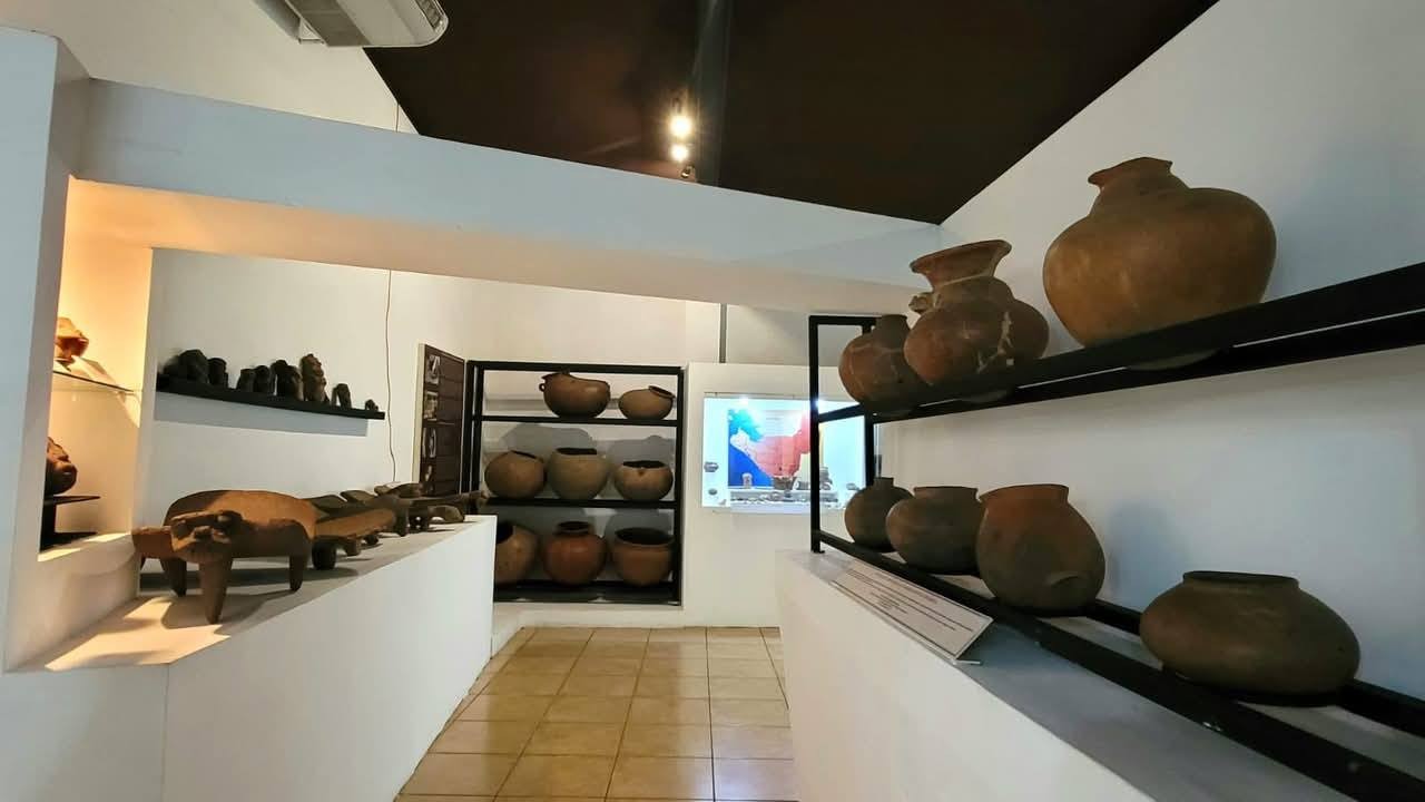 MUSEOS5