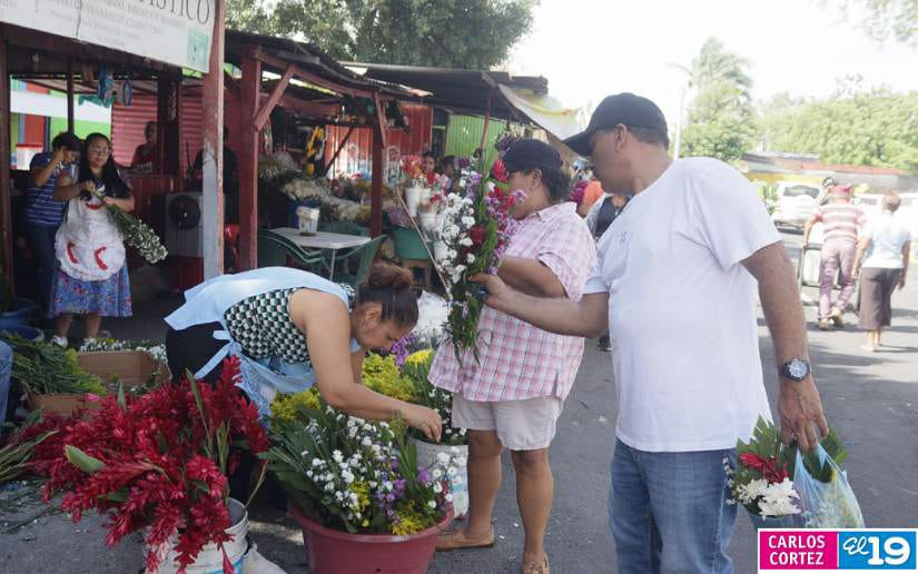 CEMENTERIO-(11)