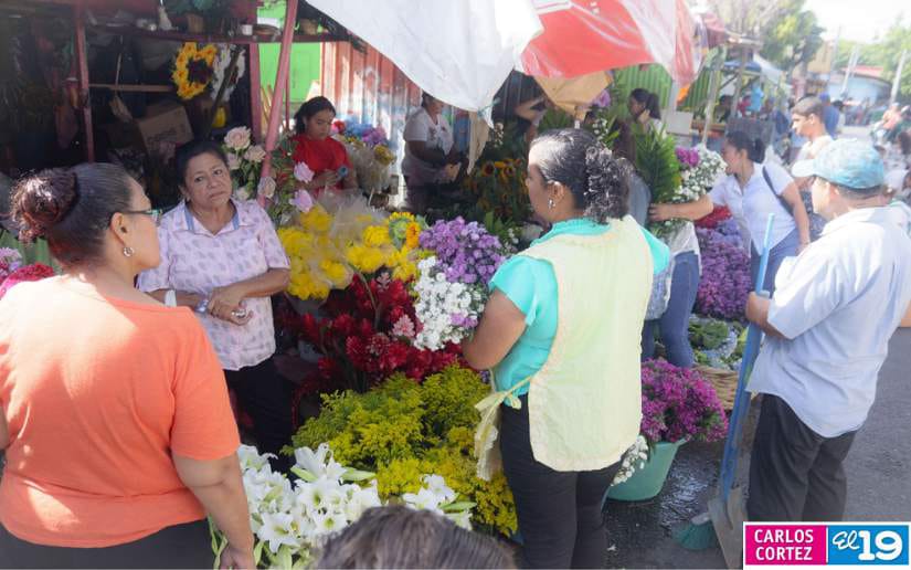 CEMENTERIO-(15)