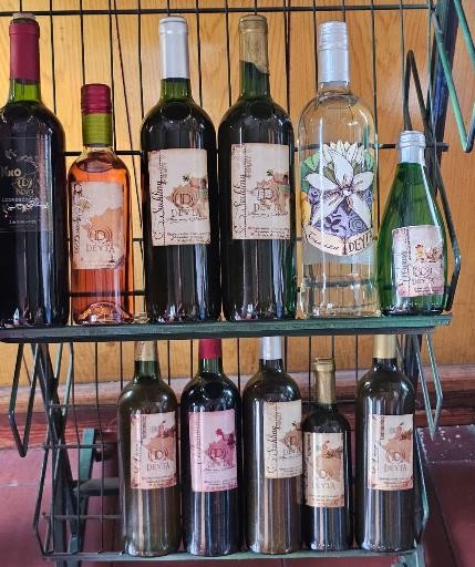 VINOS13