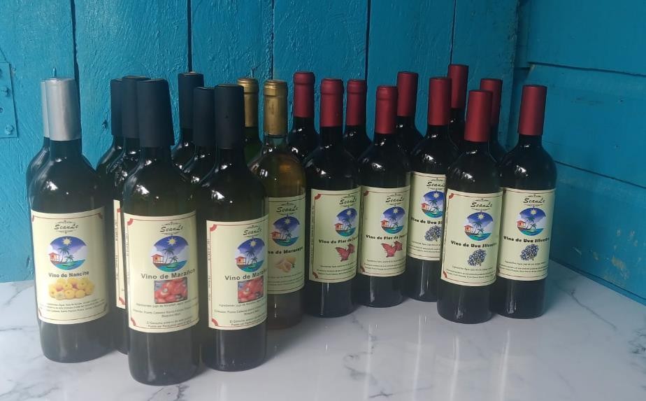 VINOS14