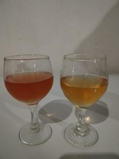 VINOS17
