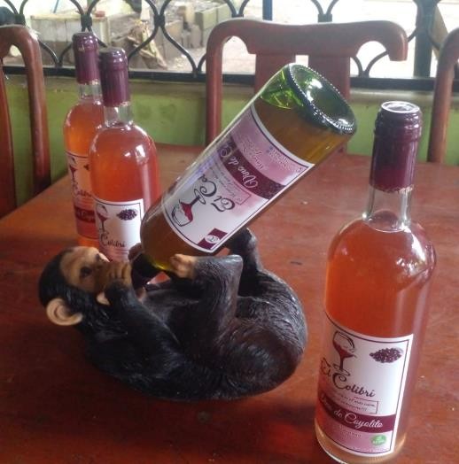VINOS18