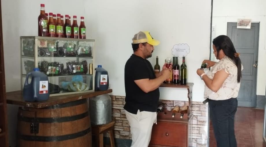 VINOS7