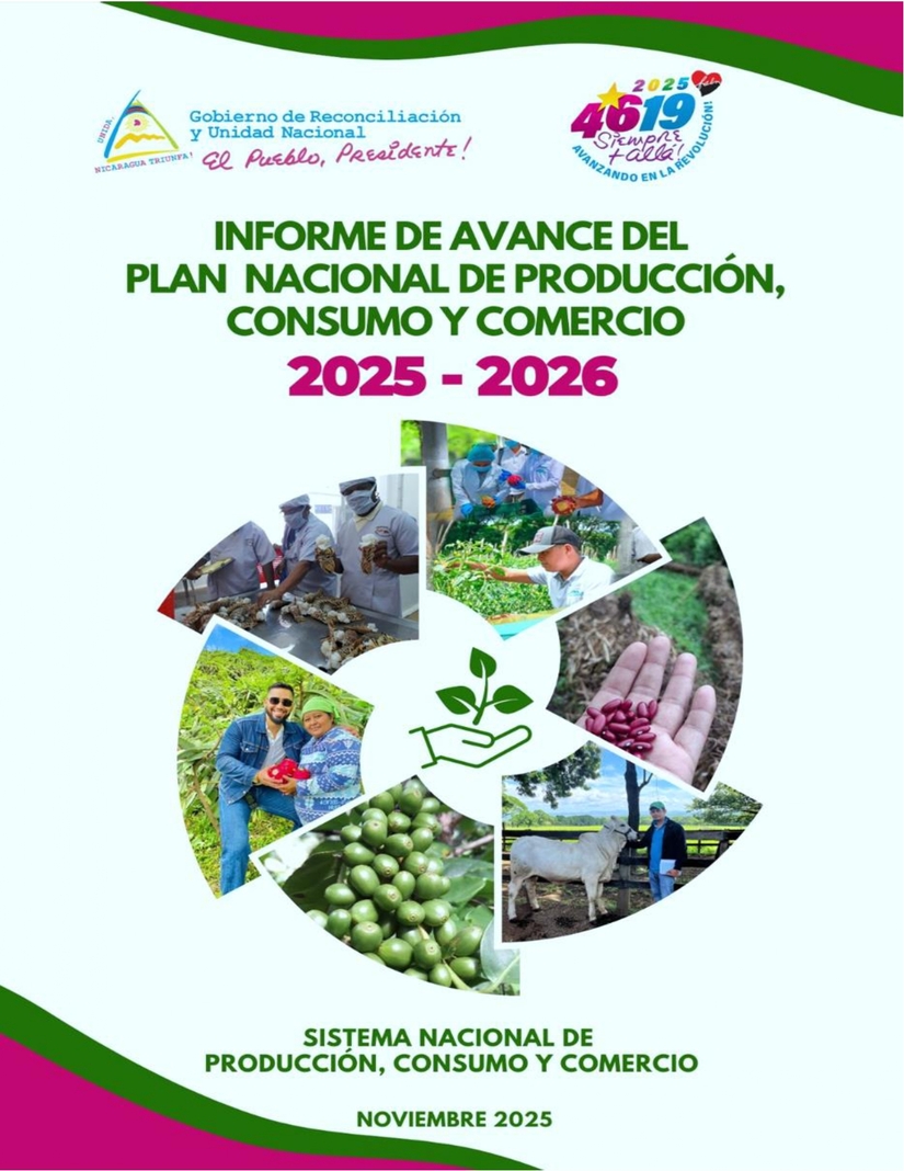 INFORME1