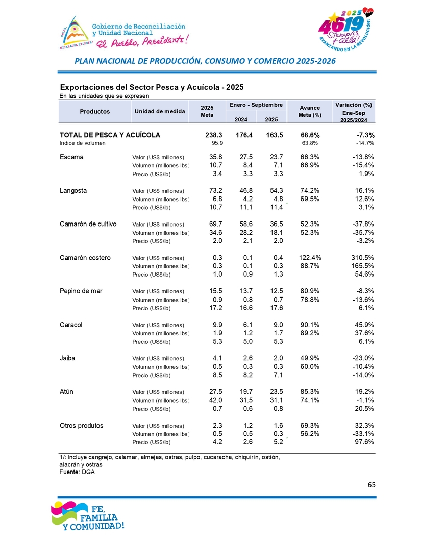 INFORME65