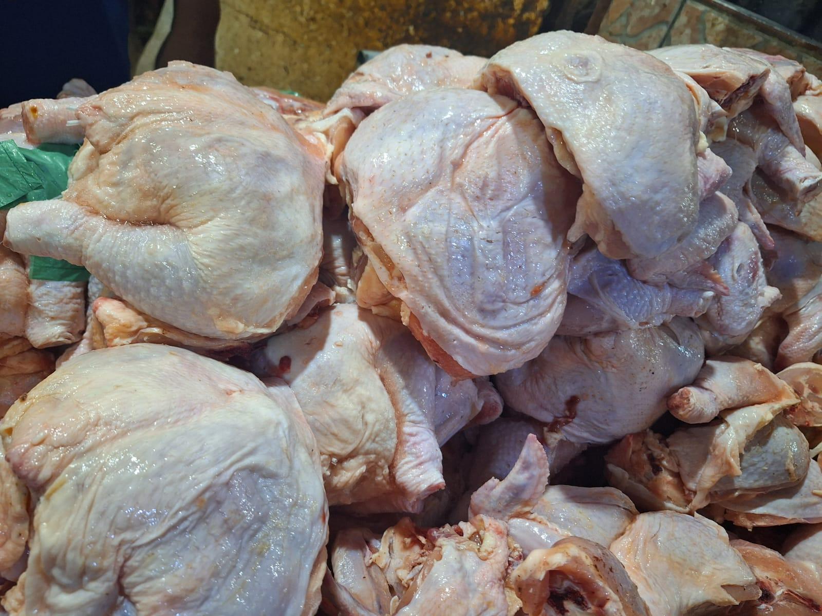 POLLO2