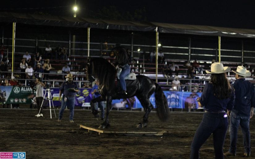 FERIA-(12)