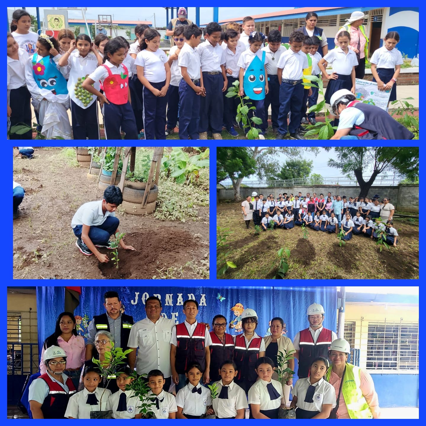 REFORESTACION2