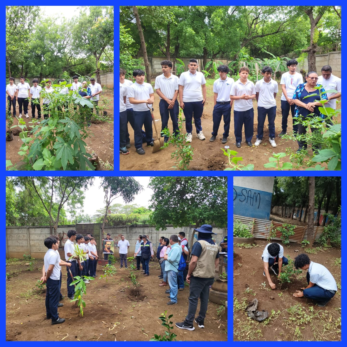 REFORESTACION6