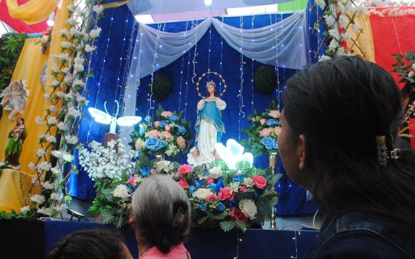 PATRONOS-(31)