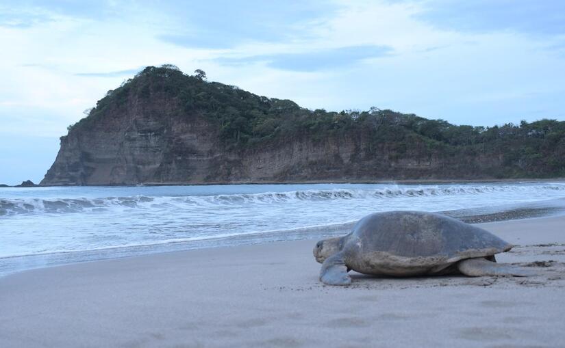 TURISMO-NATURALEZA-5