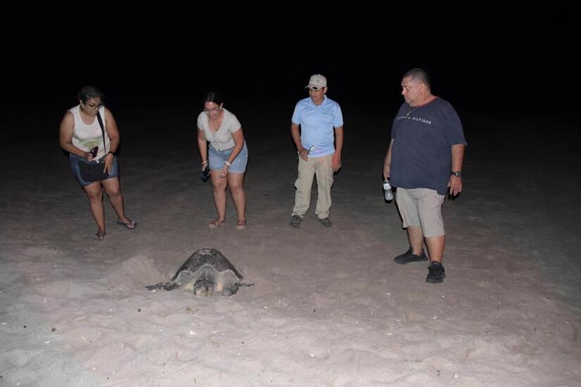 TURISMO-NATURALEZA-7