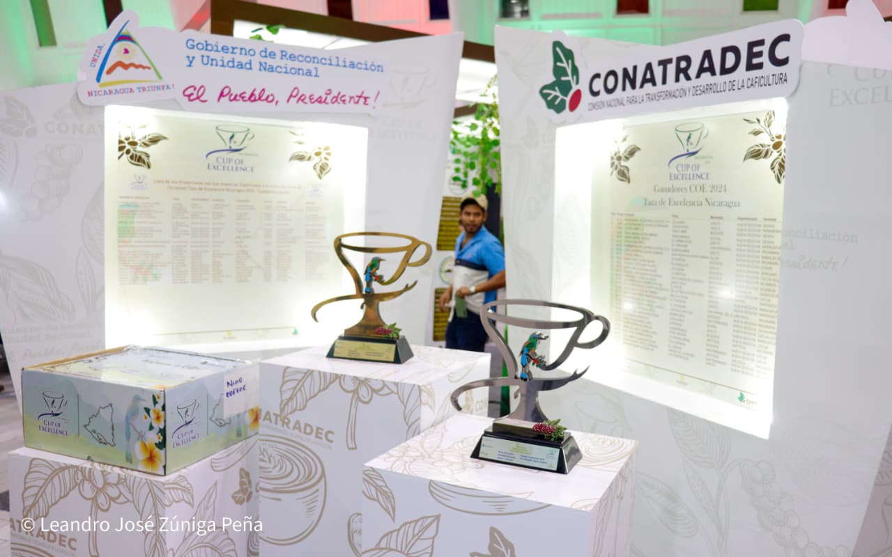 Festival-Nicaragua-es-Cafe-34
