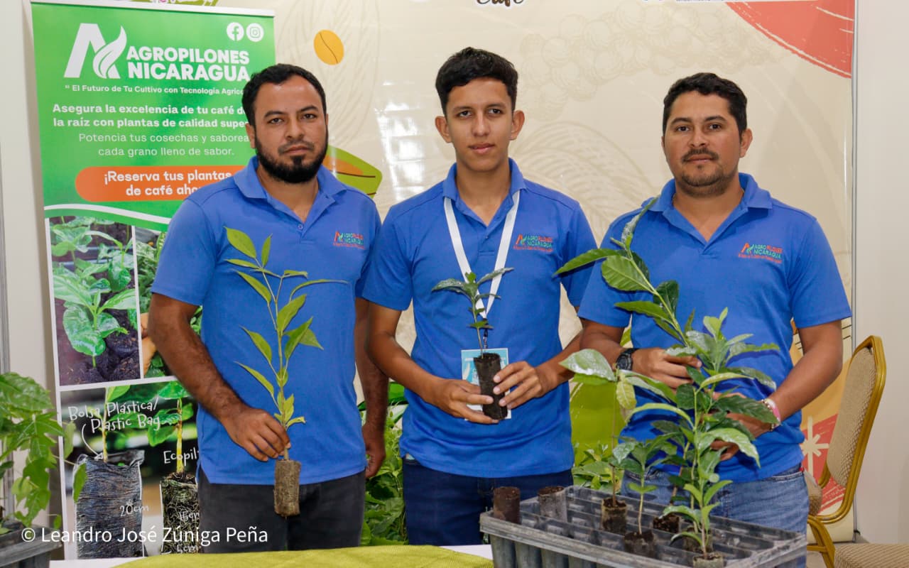 Festival-Nicaragua-es-Cafe-54