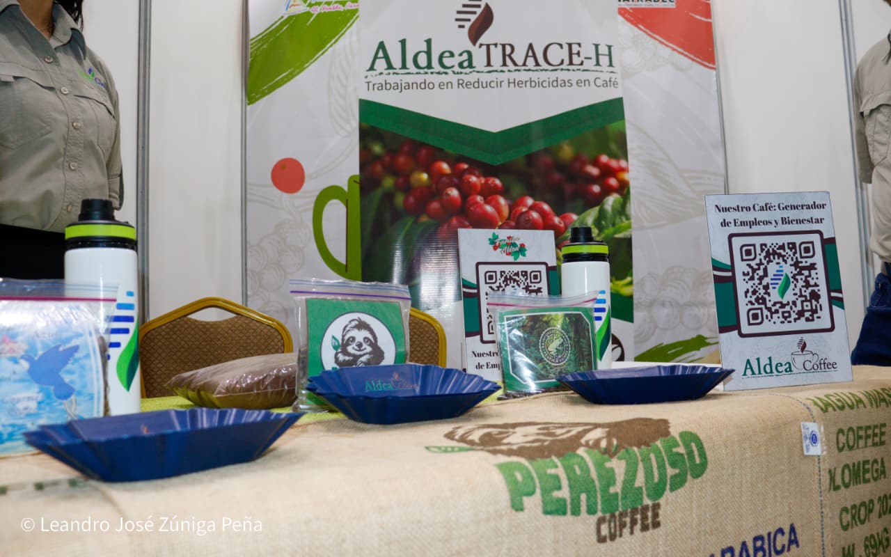 Festival-Nicaragua-es-Cafe-58