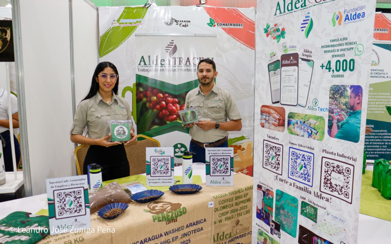 Festival-Nicaragua-es-Cafe-61