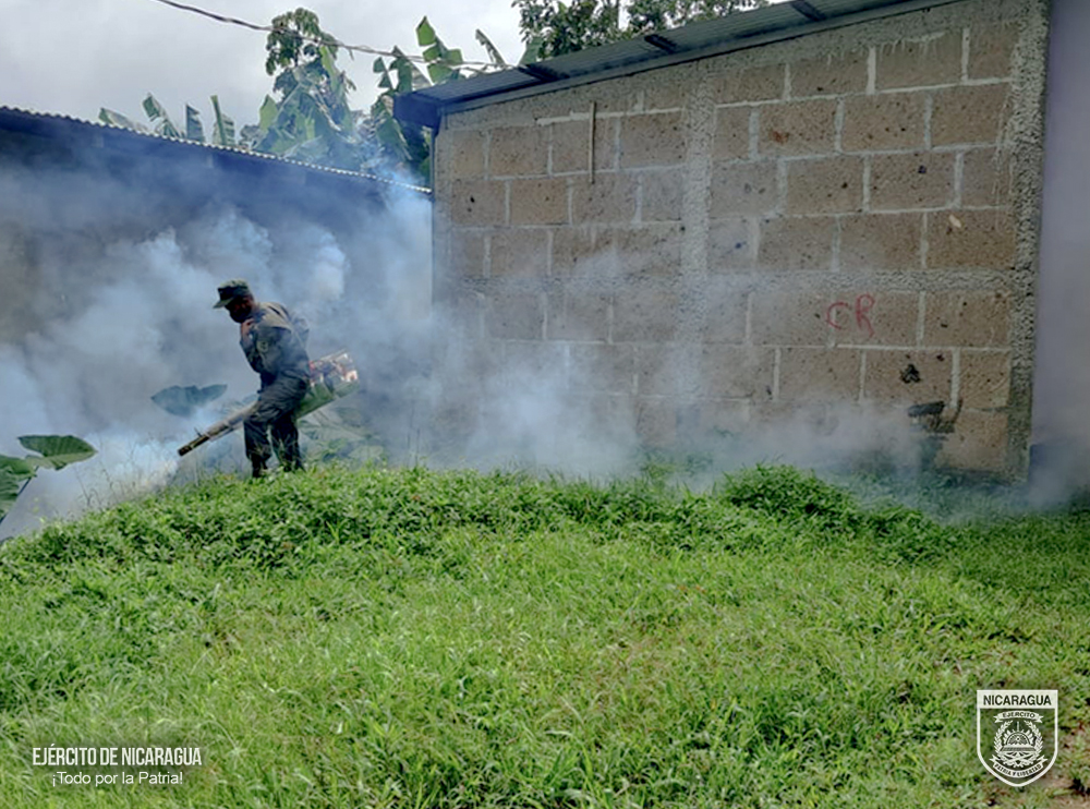 FUMIGACION3