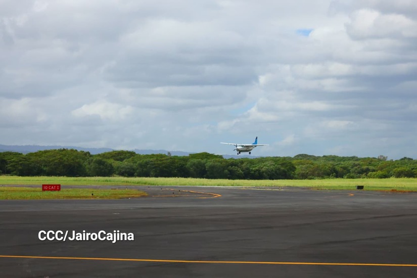 AIACS-31