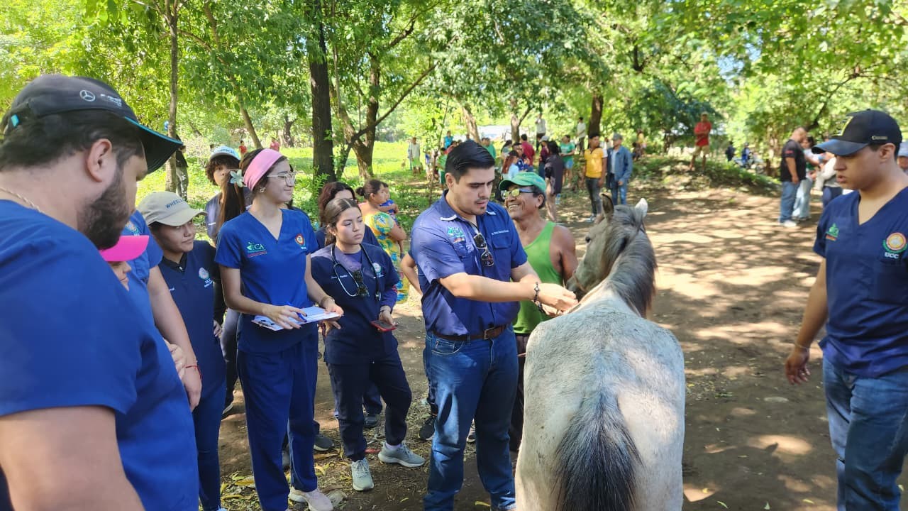 VETERINARIA5