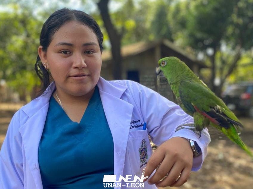 VETERINARIA7