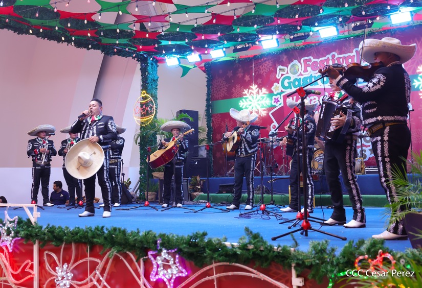 FESTIVAL-(1)