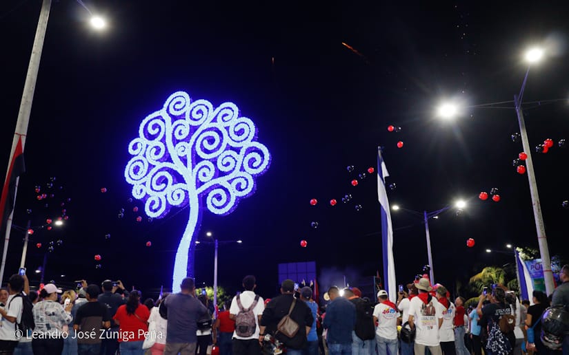 ARBOL-(10)