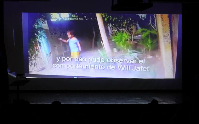 IMAGENES6