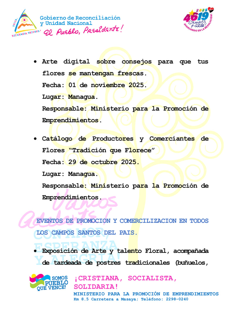 PLAN5