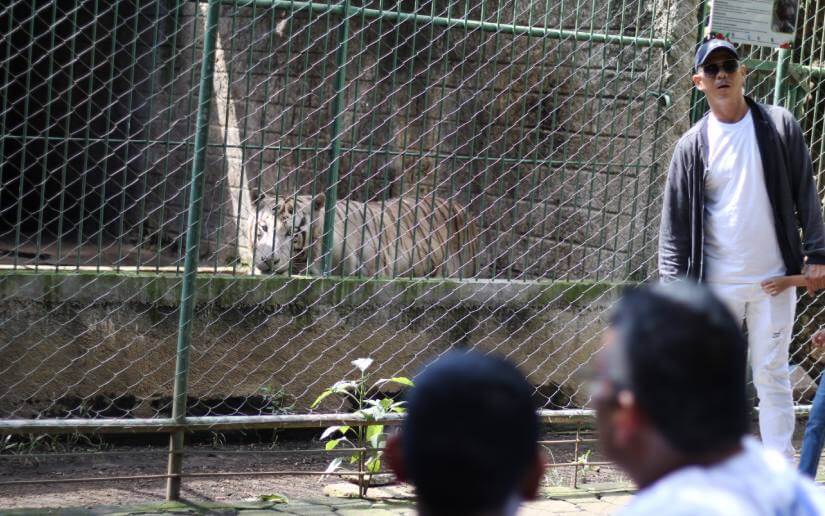 ZOOLOGICO-(2)