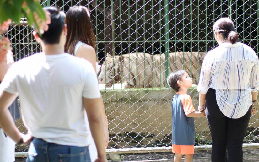 ZOOLOGICO-(5)