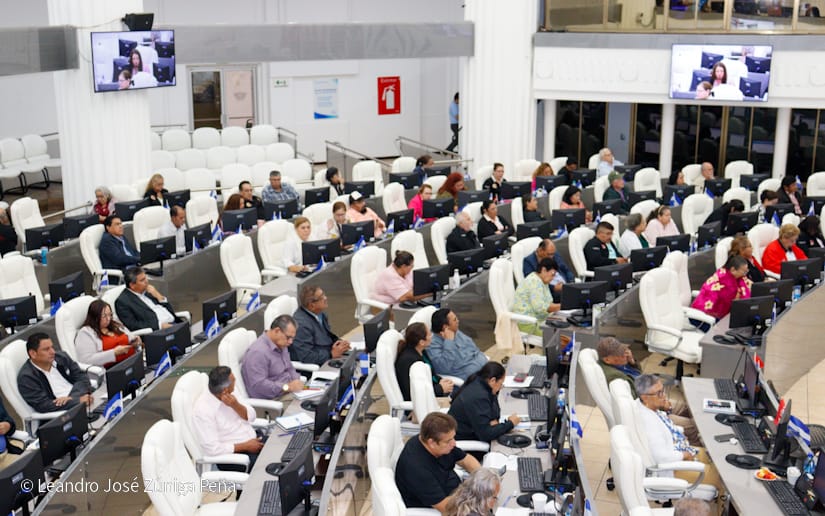 Asamblea-Nacional-8