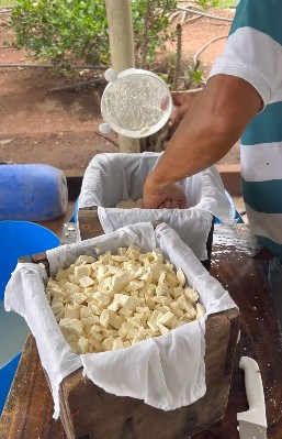 QUESO3