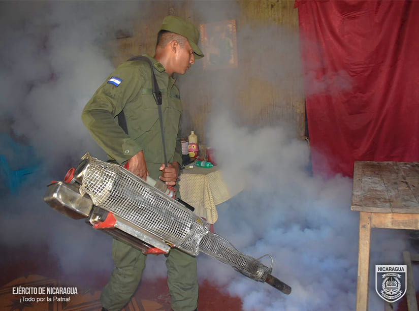 FUMIGACION4