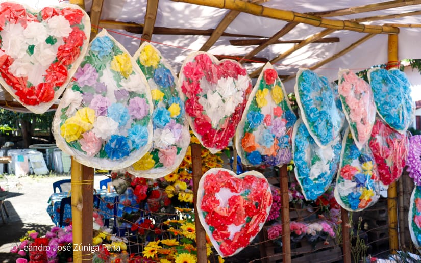 FLORES1