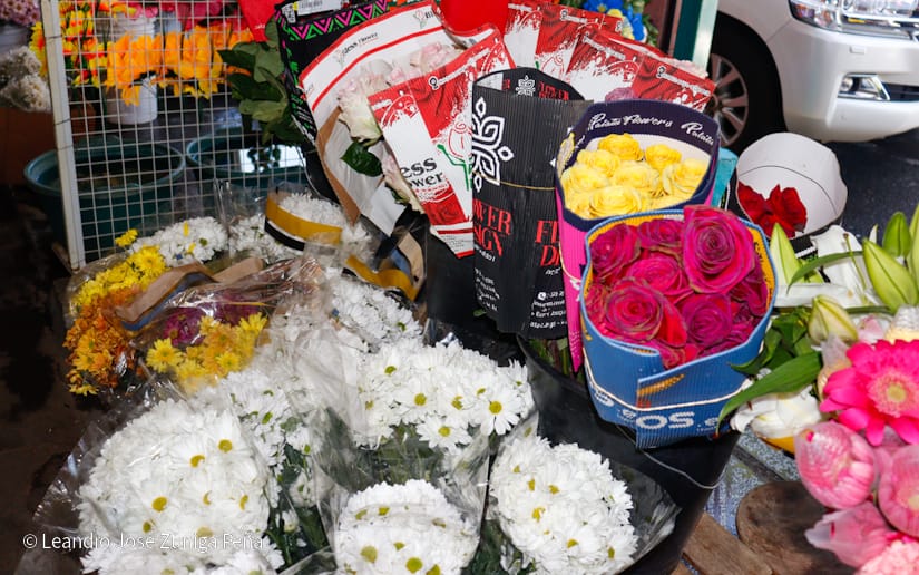 FLORES10