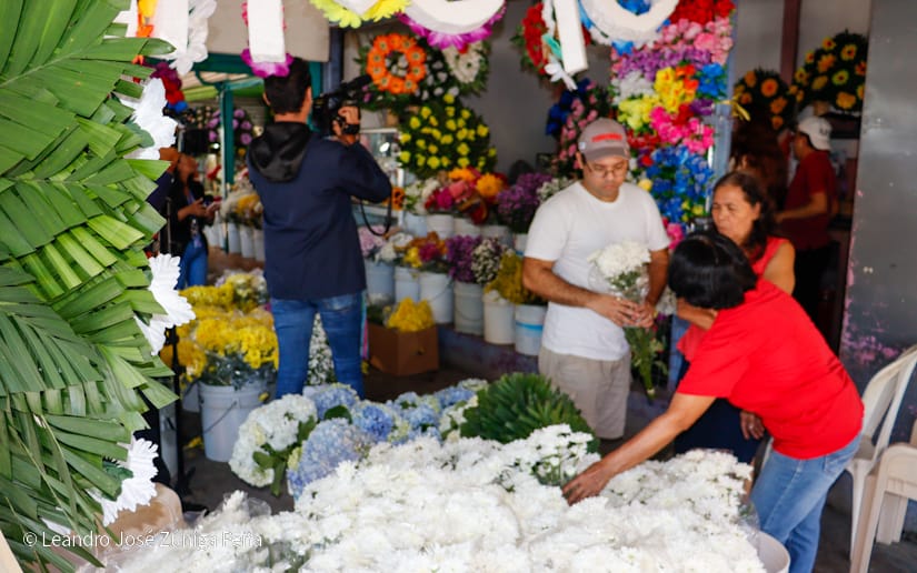 FLORES13