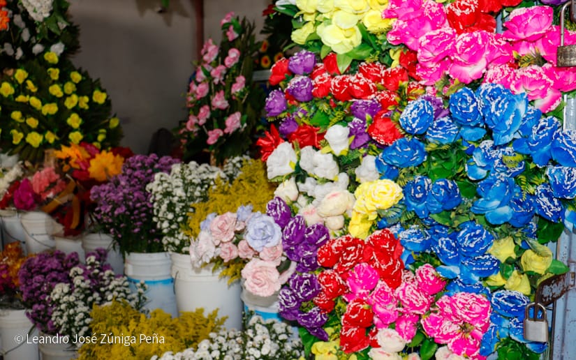 FLORES14