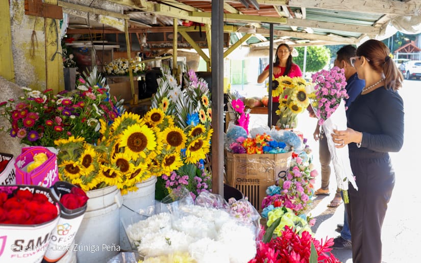 FLORES16