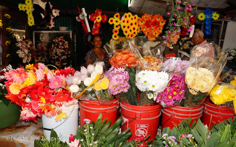 FLORES17